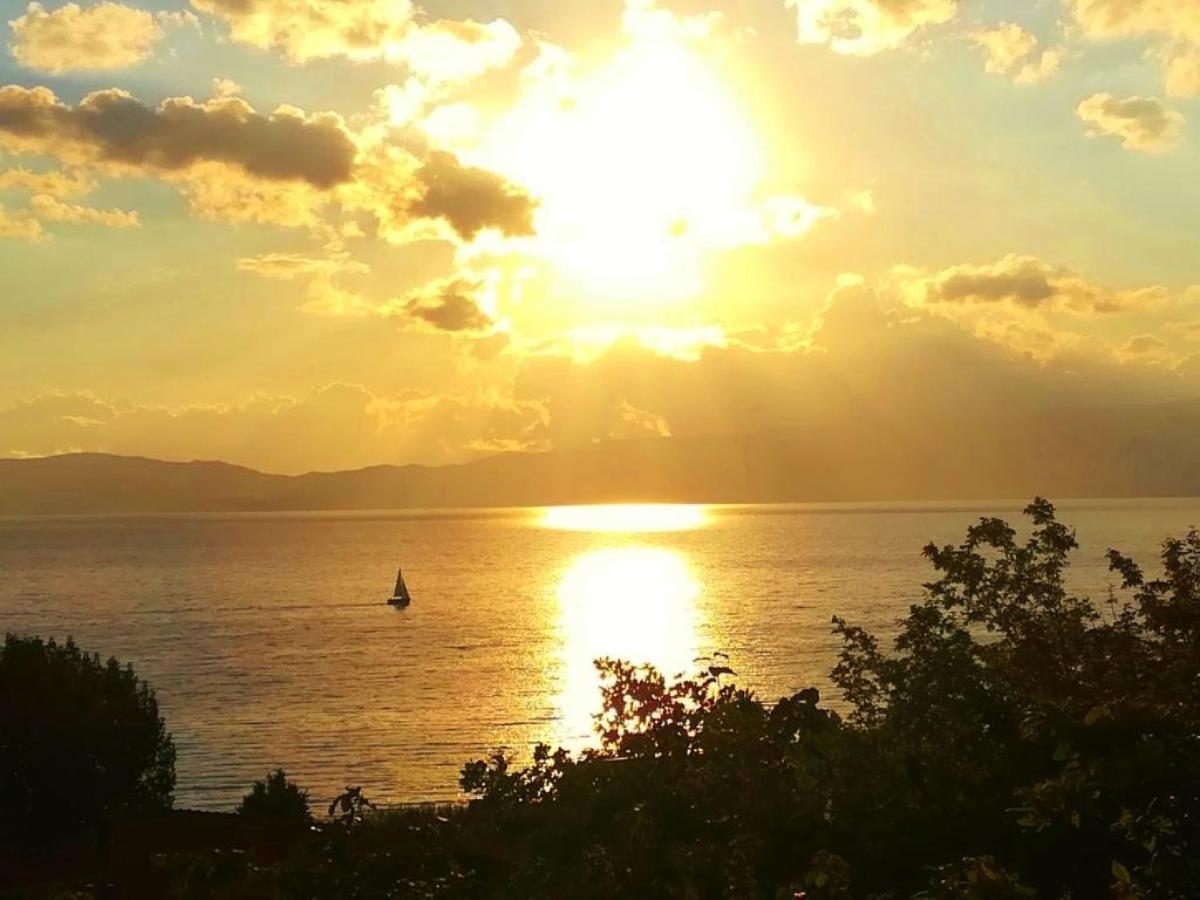 Villa Forest Paradise Ohrid Ngoại thất bức ảnh