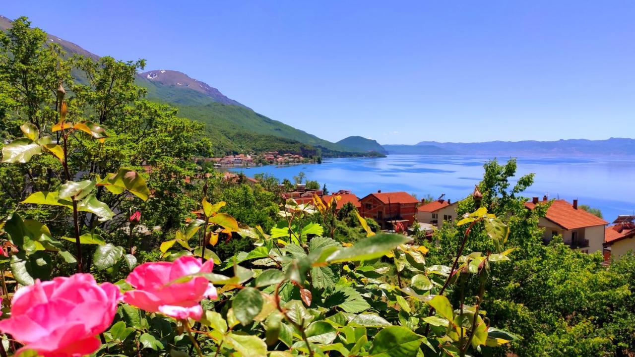 Villa Forest Paradise Ohrid Ngoại thất bức ảnh