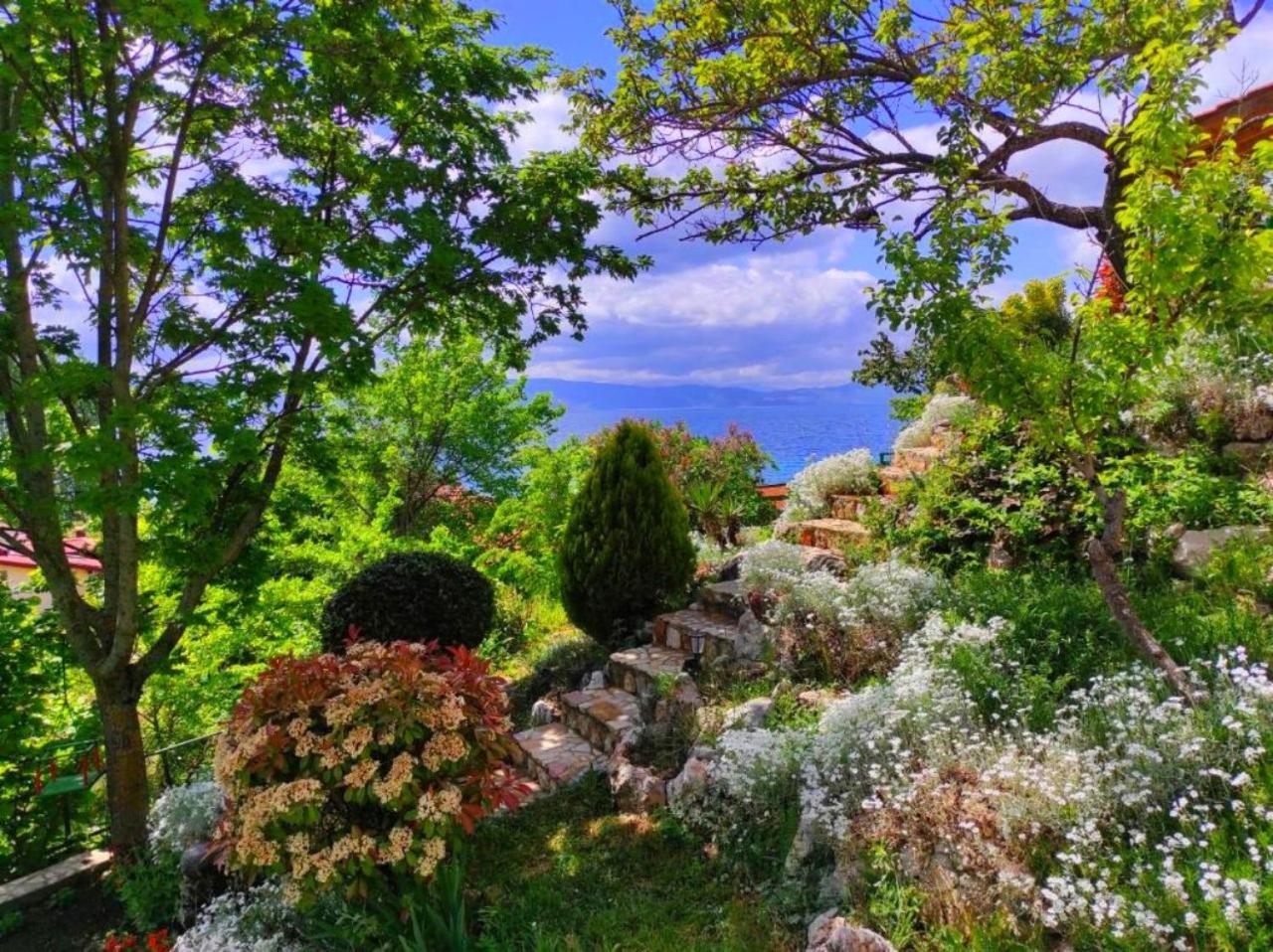 Villa Forest Paradise Ohrid Ngoại thất bức ảnh