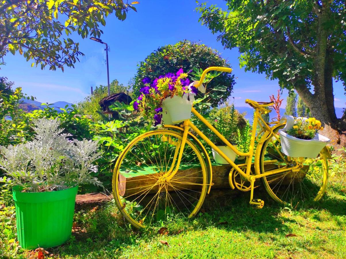 Villa Forest Paradise Ohrid Ngoại thất bức ảnh