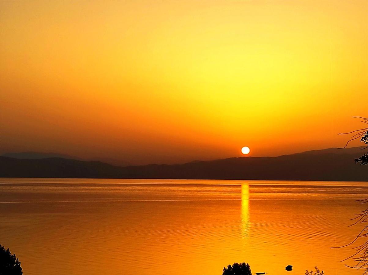 Villa Forest Paradise Ohrid Ngoại thất bức ảnh
