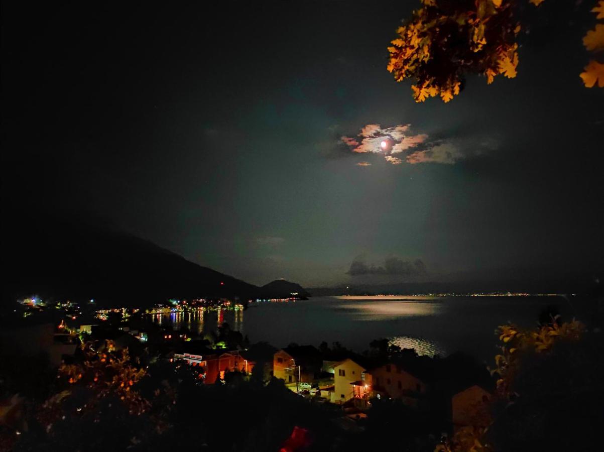 Villa Forest Paradise Ohrid Ngoại thất bức ảnh