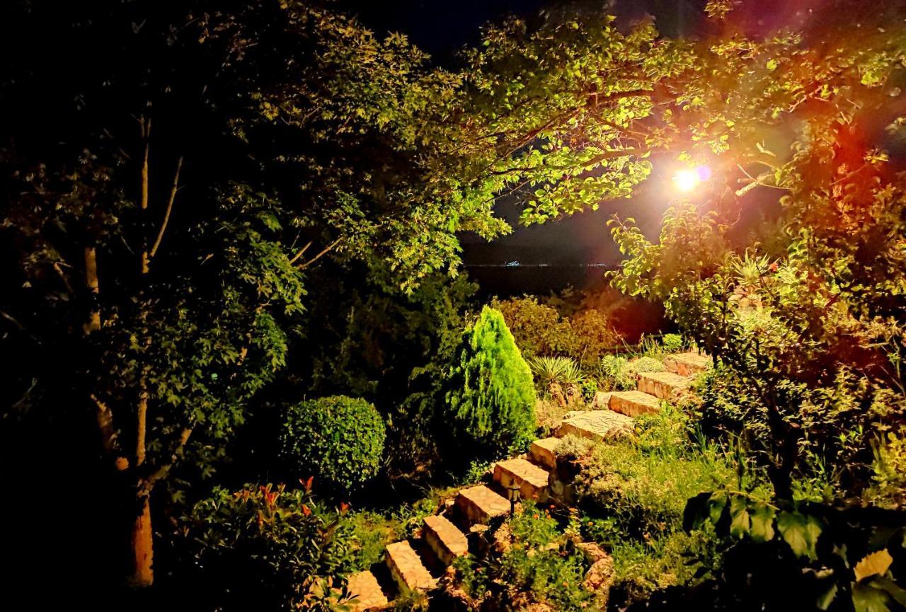 Villa Forest Paradise Ohrid Ngoại thất bức ảnh