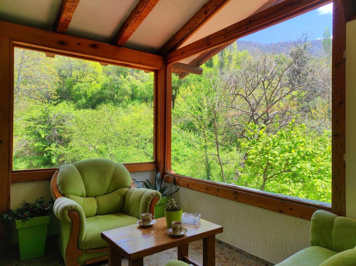 Villa Forest Paradise Ohrid Ngoại thất bức ảnh