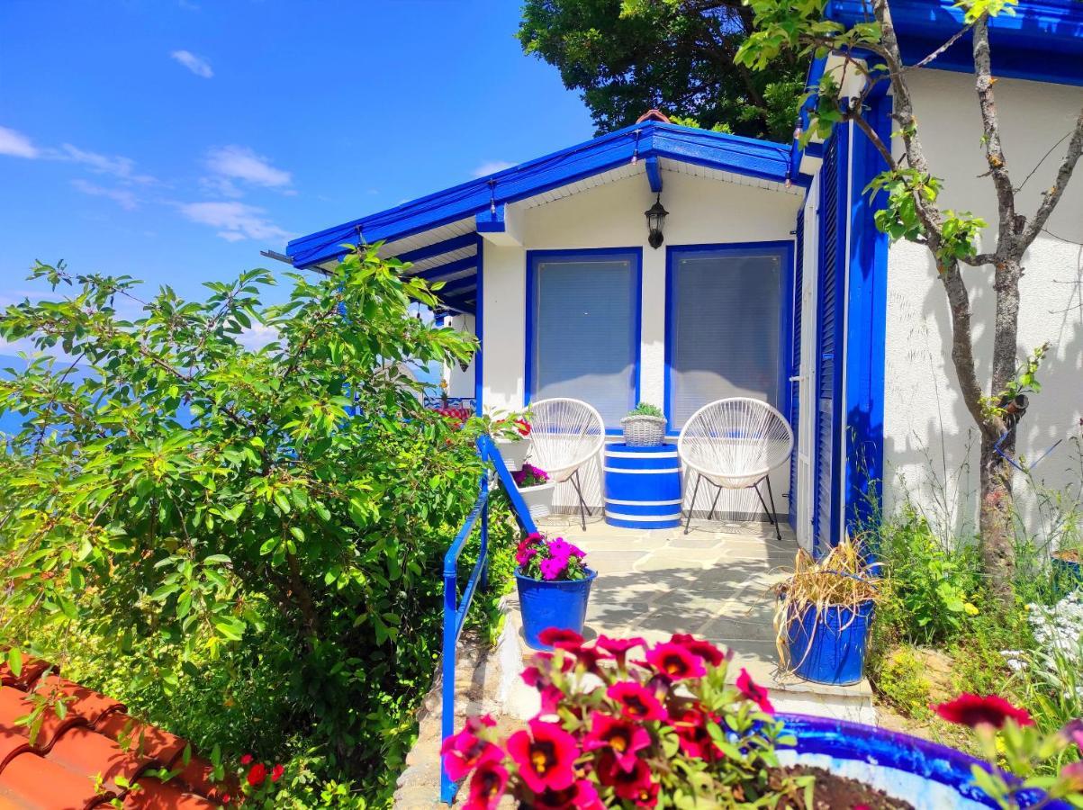 Villa Forest Paradise Ohrid Ngoại thất bức ảnh