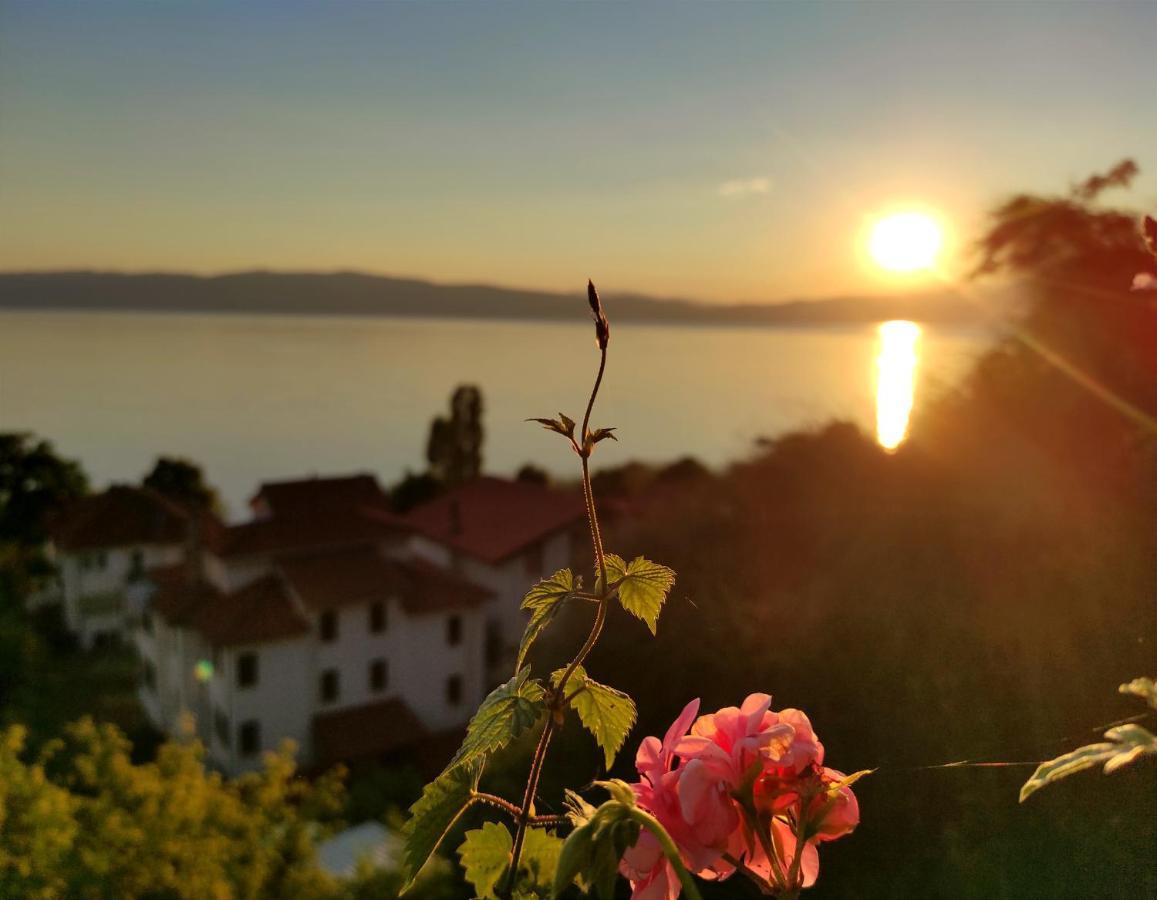 Villa Forest Paradise Ohrid Ngoại thất bức ảnh