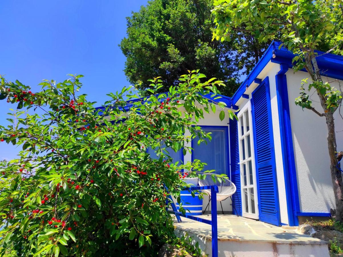 Villa Forest Paradise Ohrid Ngoại thất bức ảnh