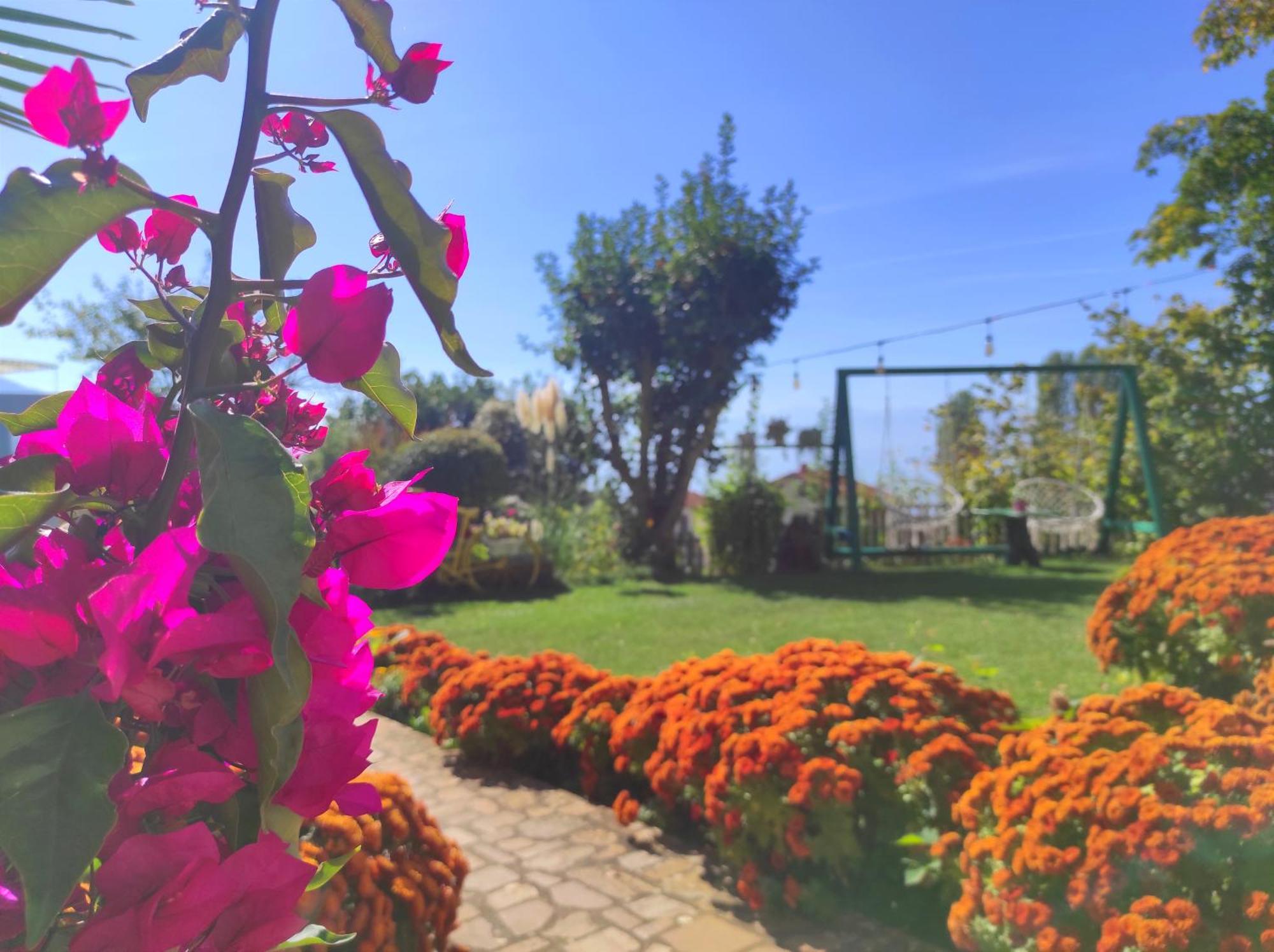 Villa Forest Paradise Ohrid Ngoại thất bức ảnh