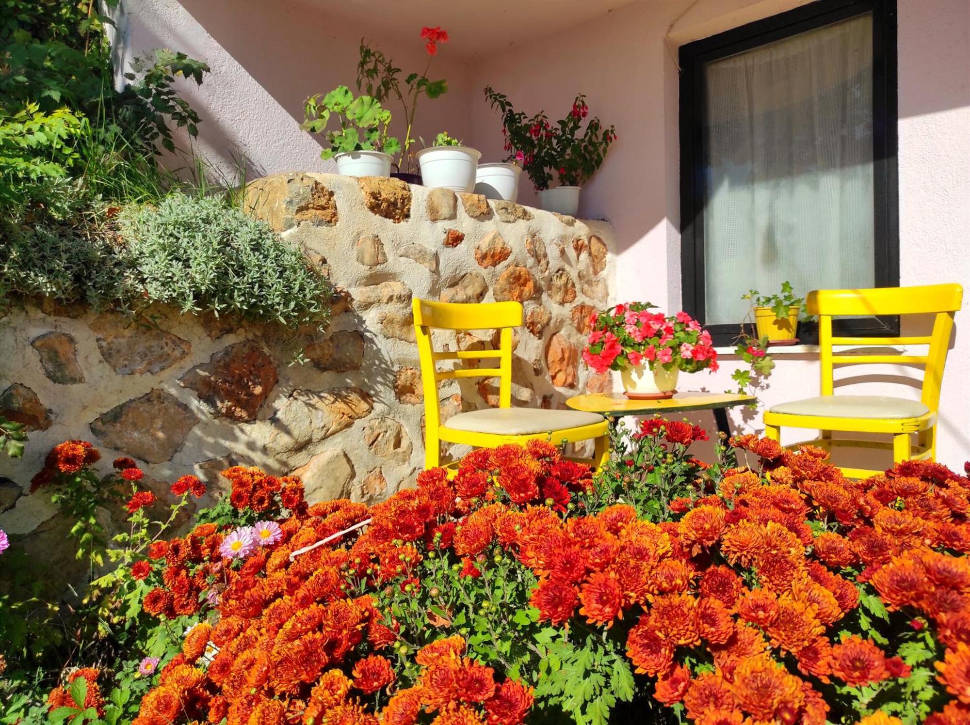 Villa Forest Paradise Ohrid Ngoại thất bức ảnh