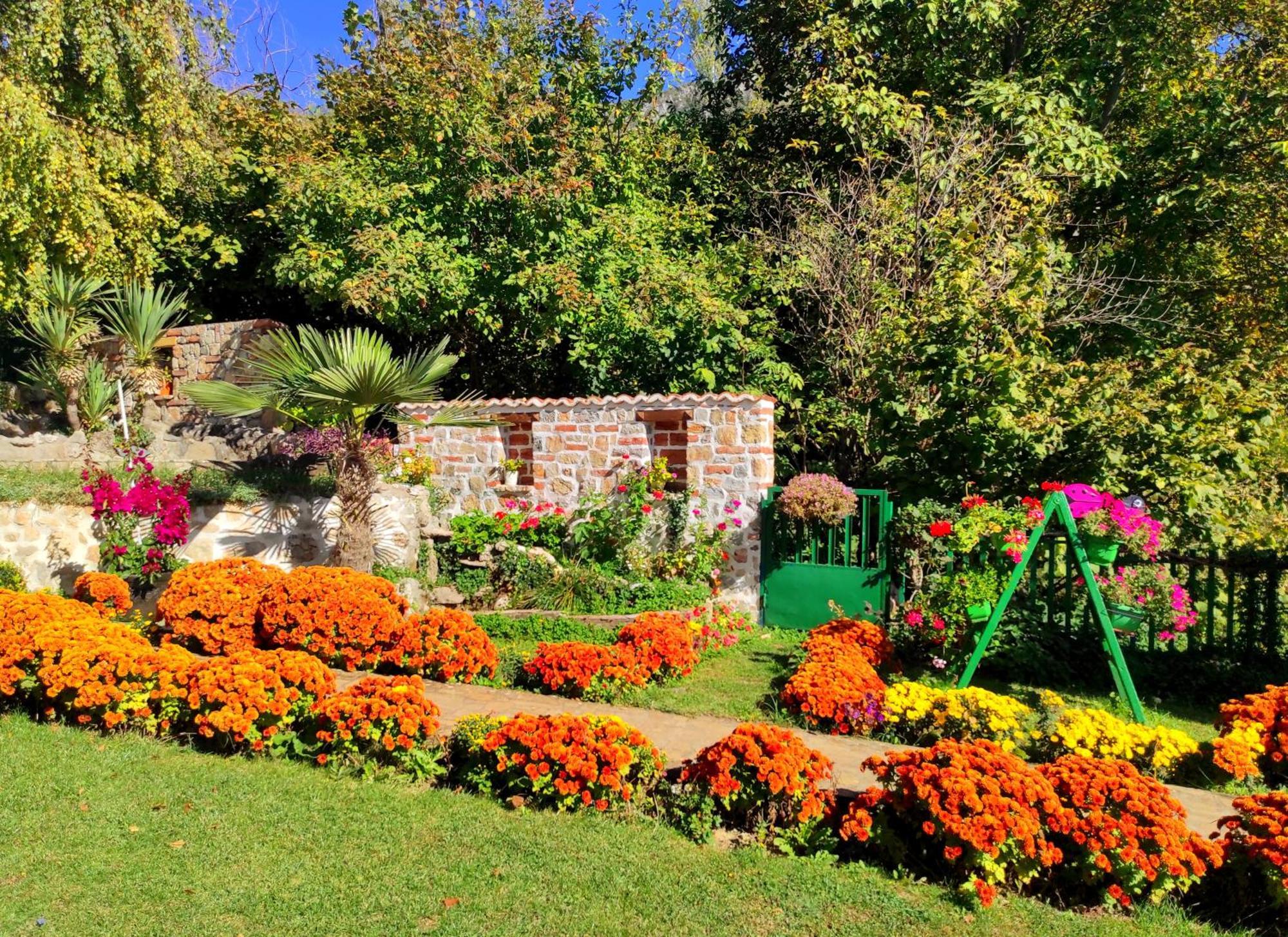 Villa Forest Paradise Ohrid Ngoại thất bức ảnh