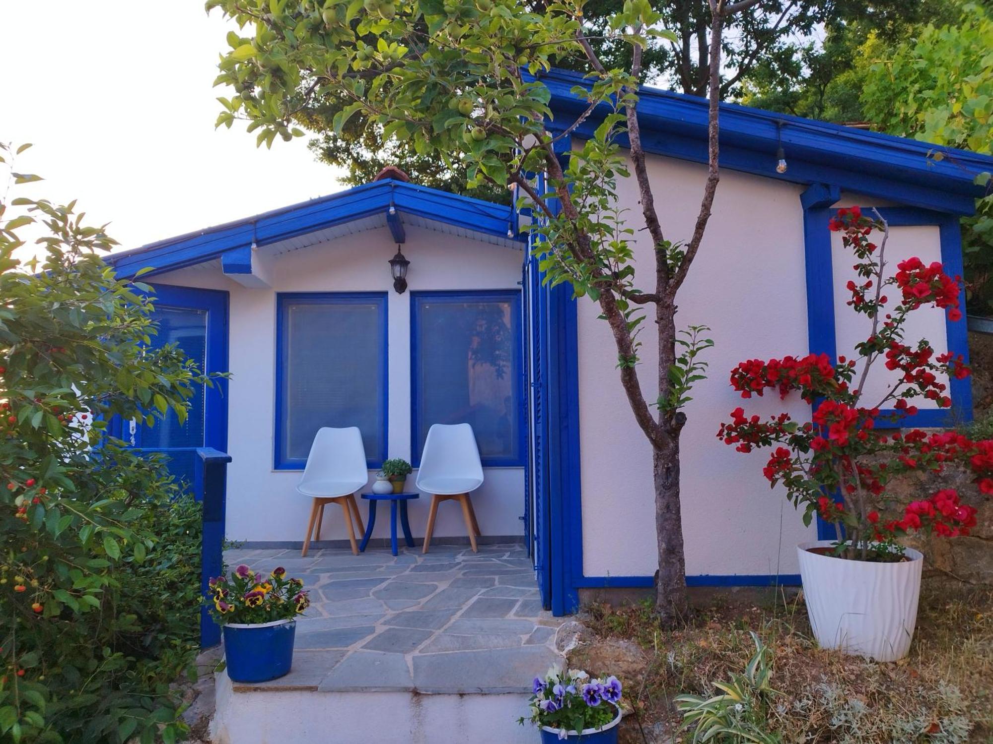 Villa Forest Paradise Ohrid Ngoại thất bức ảnh