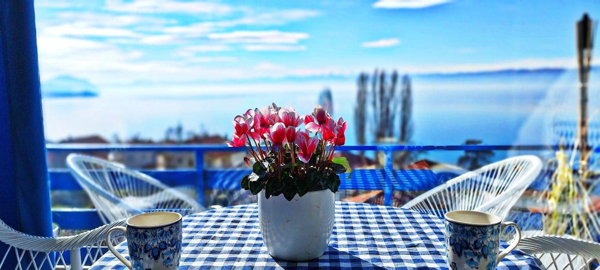 Villa Forest Paradise Ohrid Ngoại thất bức ảnh