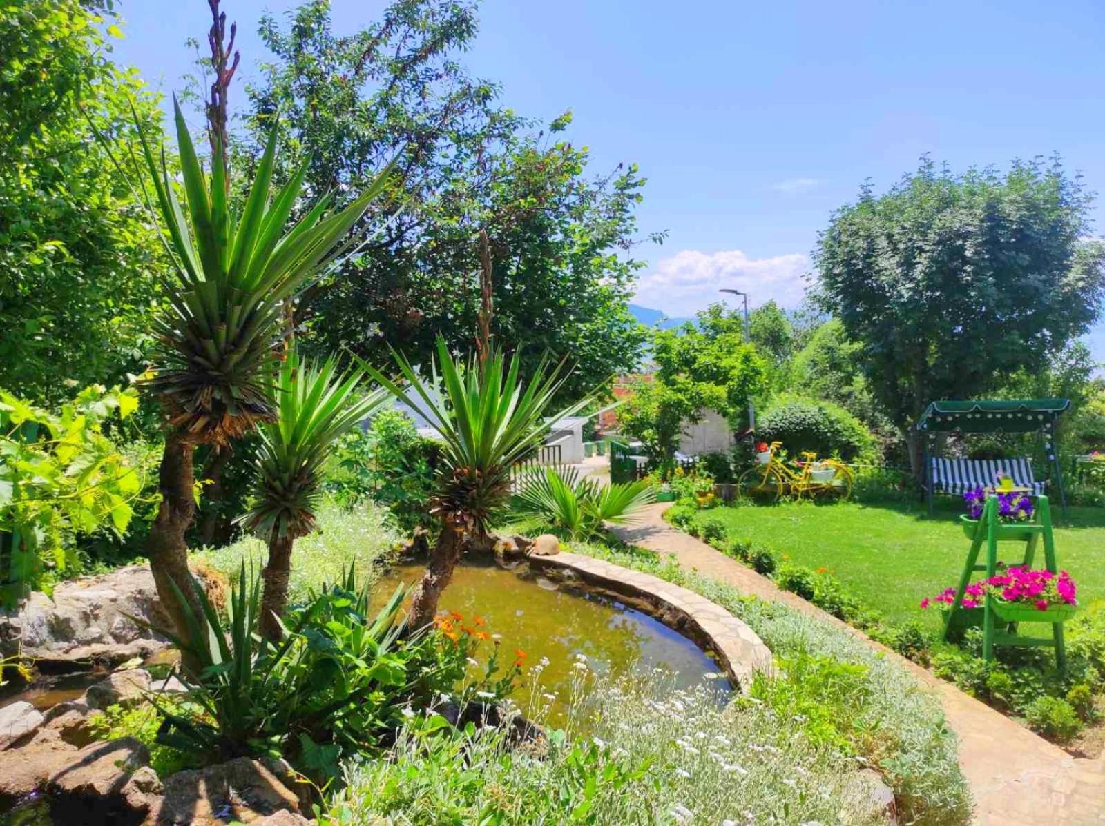Villa Forest Paradise Ohrid Ngoại thất bức ảnh