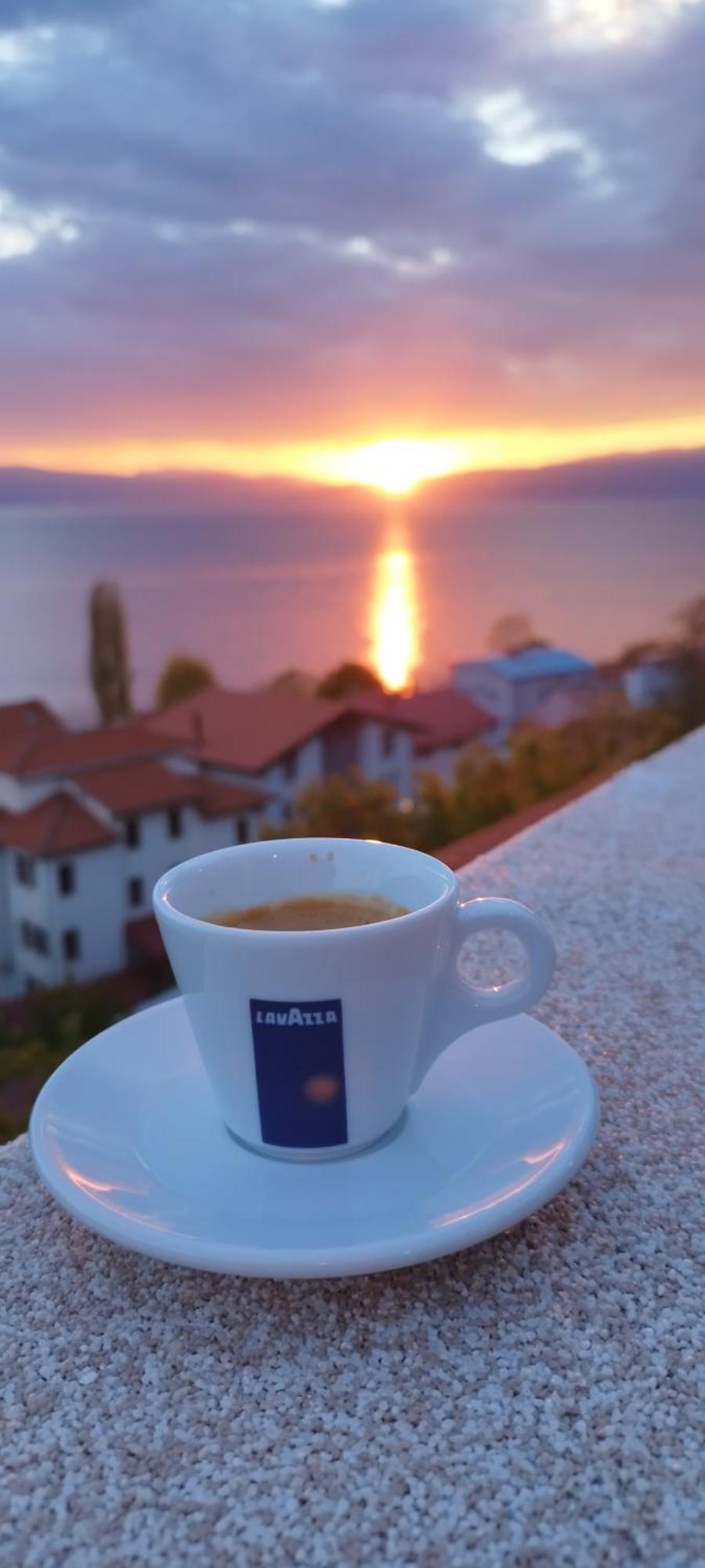 Villa Forest Paradise Ohrid Ngoại thất bức ảnh